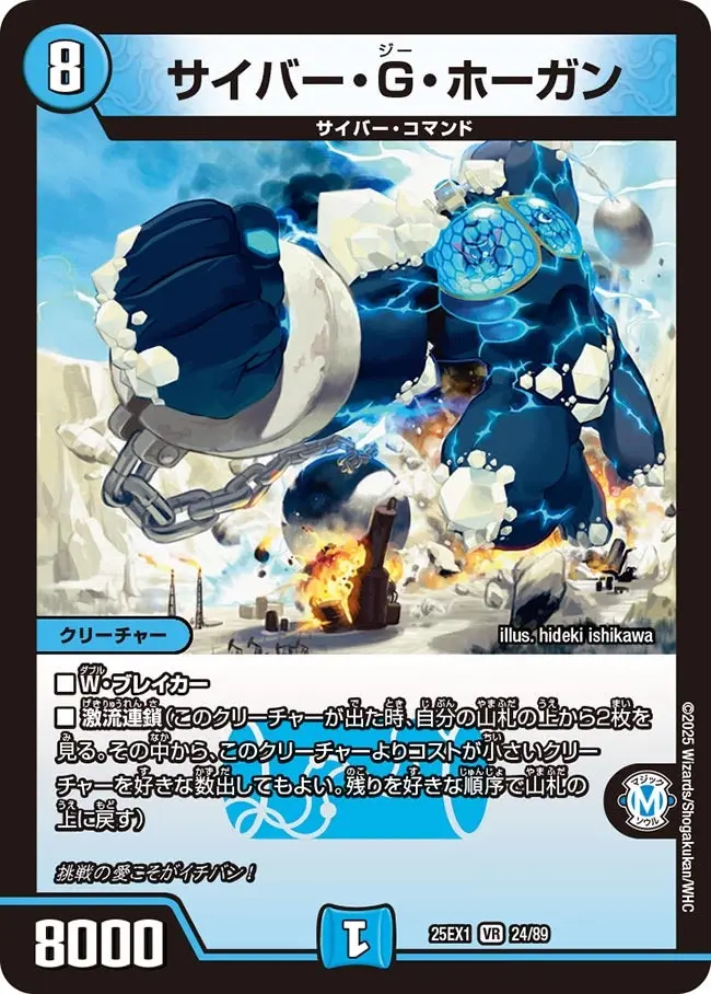 サイバー・G・ホーガン DM25EX1 24/89 の商品画像