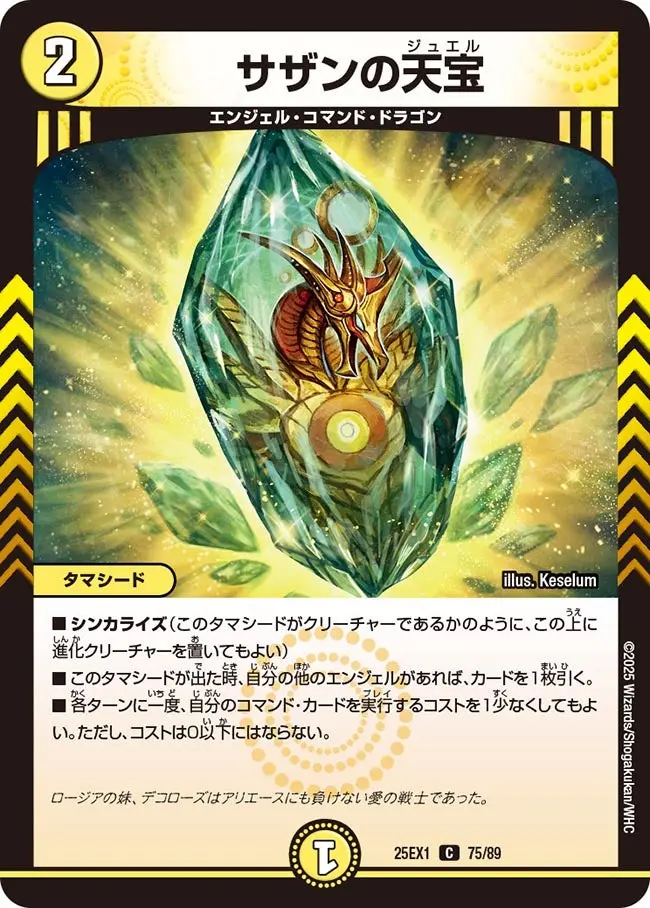 サザンの天宝 DM25EX1 75/89 の商品画像