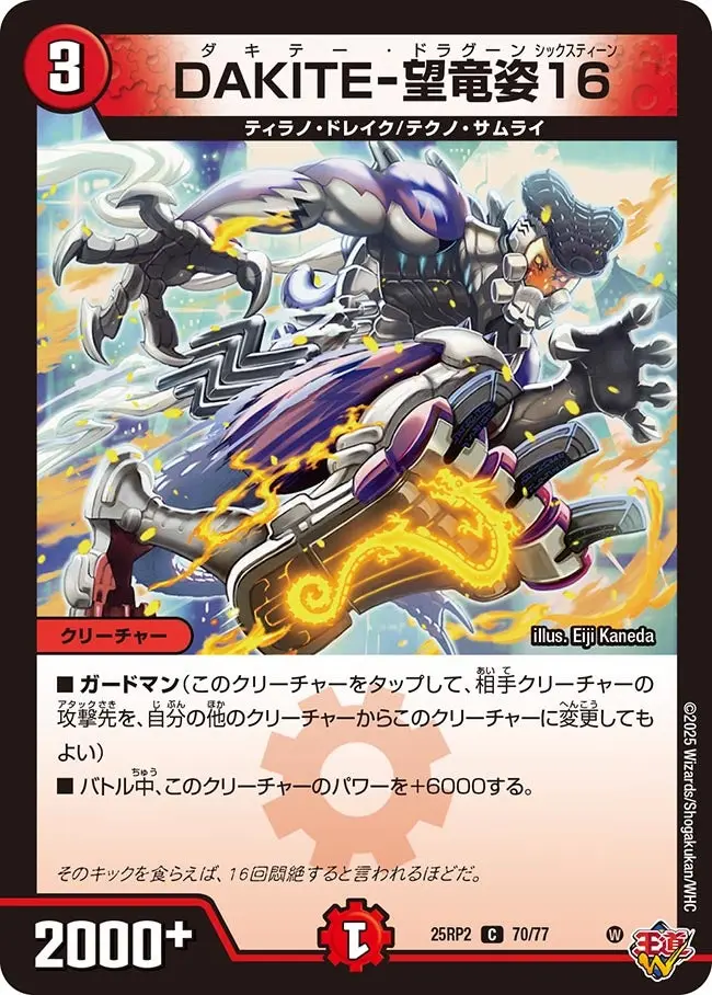 DAKITE-望竜姿16 DM25RP2 70/77 の商品画像